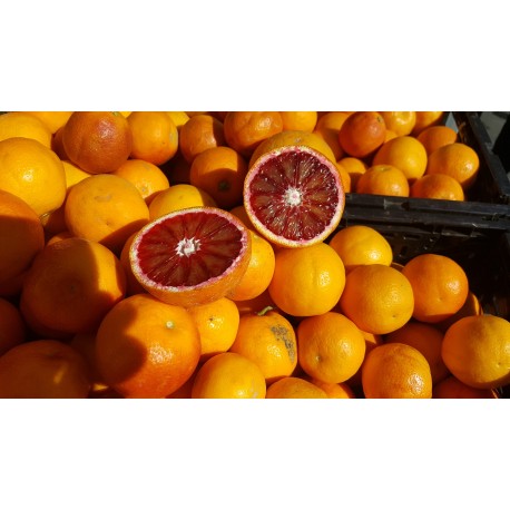 FL ORANGE SANGUINE AU POIDS