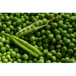 FL PETITS POIS AU POIDS