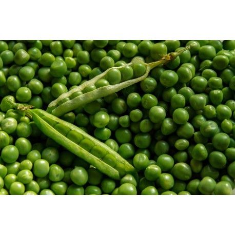 FL PETITS POIS AU POIDS