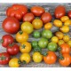 FL TOMATE ANCIENNE AU POIDS