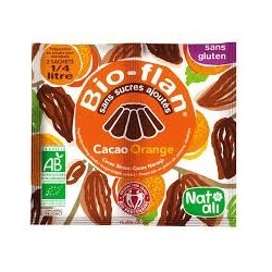 BIOFLAN CHOCOLAT ORANGE 10G EQUITABLE SANS SUCRE