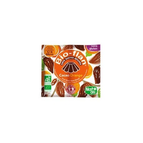 BIOFLAN CHOCOLAT ORANGE 10G EQUITABLE SANS SUCRE