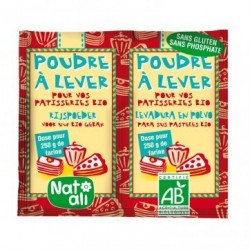 POUDRE A LEVER 2 X 7G SANS GLUTEN