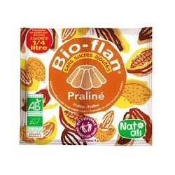 BIOFLAN PRALINE 10G BIO EQUITABLE SANS SUCRE