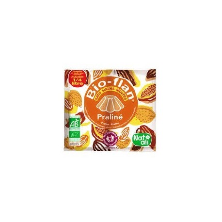 BIOFLAN PRALINE 10G BIO EQUITABLE SANS SUCRE