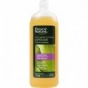 SHAMPOOING* FAMILLES 1L THE VERT