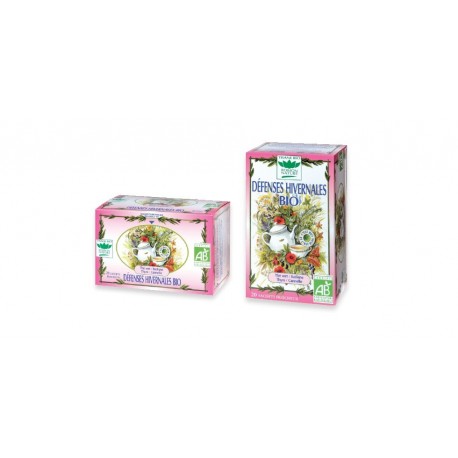 TISANE DEFENSES HIVERNALES BIO 32G ROMON